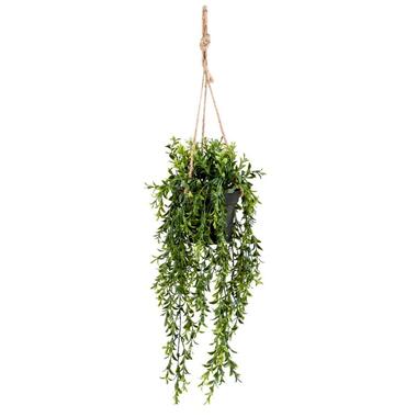 Boxwood kunst hangplant - groen - 50 cm product