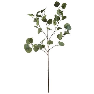 Decoratieve tak Eucalyptus, 4 stuks - grijs/groen - 87 cm product