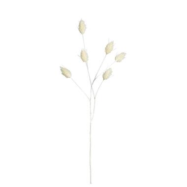 Branche artificielle Lagurus - crème - 70 cm product