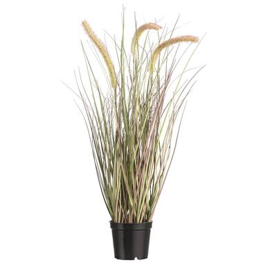 Kunstplant gras met pluim in pot - groen/naturel - 60 cm product
