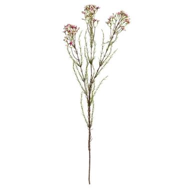 Kunsttak Wax Flower - roze - 78 cm product