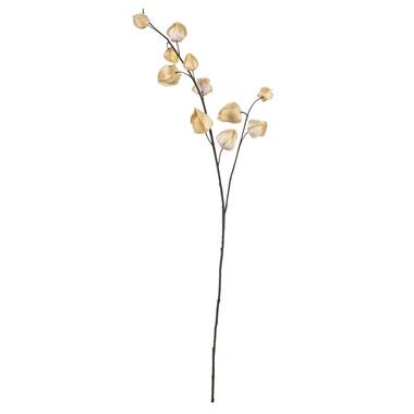 Branche artificielle Plante à lanternes - crème - 94 cm product