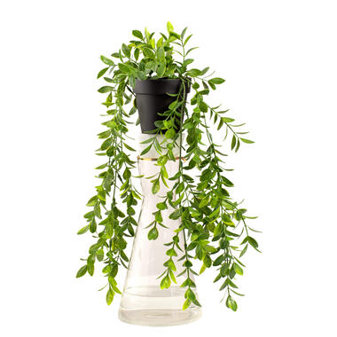 Kunst hangplant Ficus Pumila - groen - 30 cm product