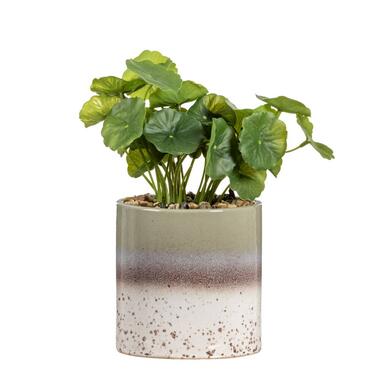Plante artificielle Hydrocotyle dans pot - verte - 30 cm product
