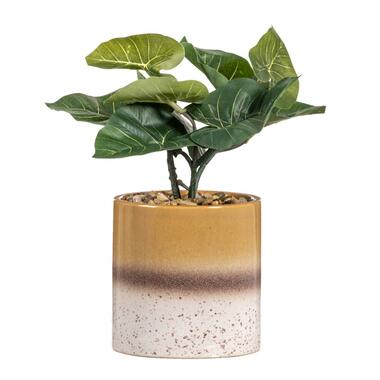 Kunstplant Alocasia in pot - groen/bruin - 30 cm product