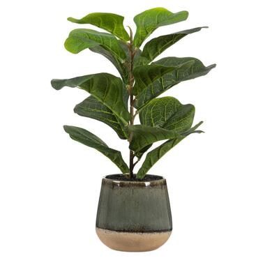 Plante artificielle Ficus dans pot - verte - 50 cm product
