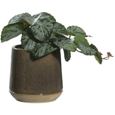 Plante artificielle dans pot - verte - 22 cm product