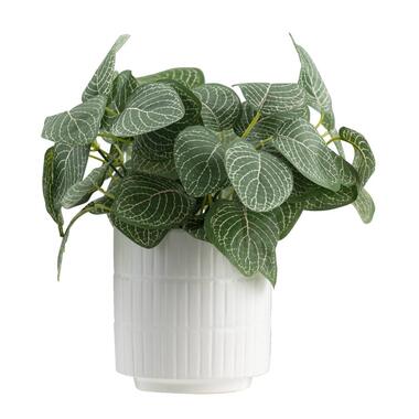 Kunstplant Sereen in pot - off-white/groen - 23 cm product