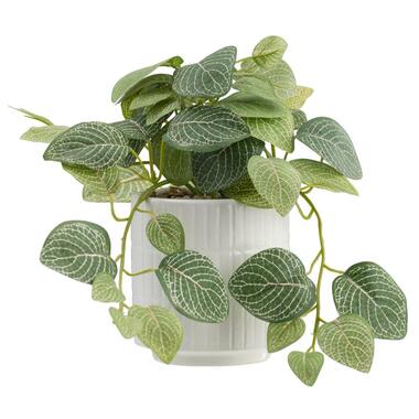 Kunstplant Sereen in pot - off-white/groen - 20 cm product