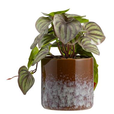 Kunstplant Retro in pot - groen/bruin - 23 cm product