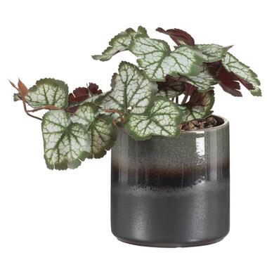 Kunstplant Retro in pot - groen/zwart - 21 cm product