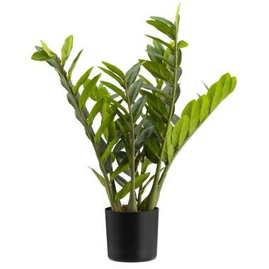 Kunstplant Zamioculcas in pot - groen - 58 cm product