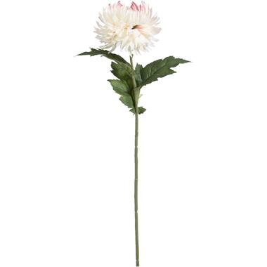 Fleur artificielle Chrysanthème araignée - rose - 57 cm product