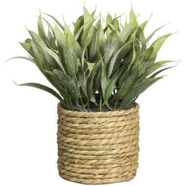 Plante artificielle dans panier - verte - 17 cm product