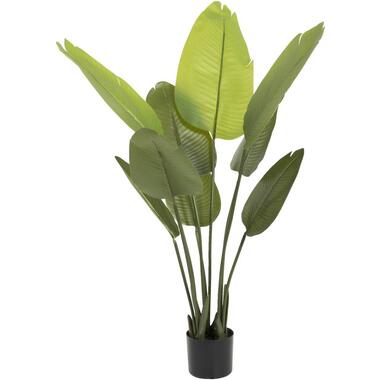 Kunstplant Strelitzia - groen/zwart - 120 cm product