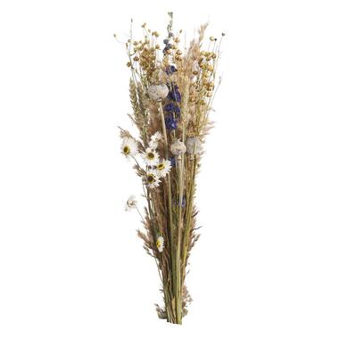 Bouquet de fleurs séchées - couleur naturelle/bleu - 45 cm product