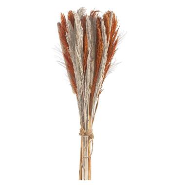 Bouquet de herbes séchées Babala - brun rougeâtre - 75 cm product