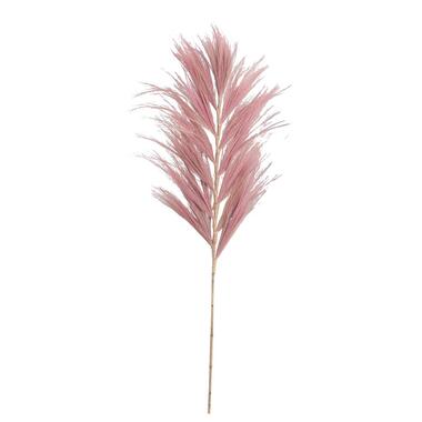 Droogbloemen Grass plume - oudroze - 118 cm product