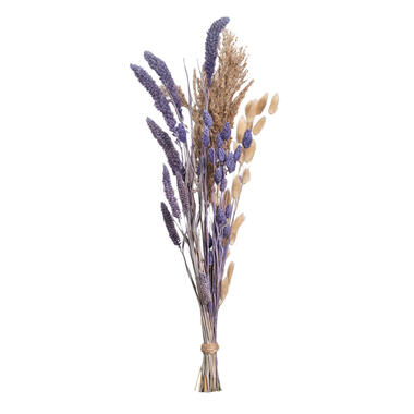 Bouquet de fleurs séchées mélange - lilas - 71 cm product
