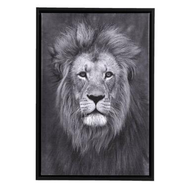 Tableau Lion - toile - 64x44 cm product