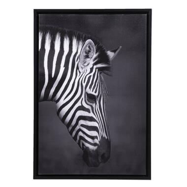 Schilderij Zebra - canvas - 64x44 cm product