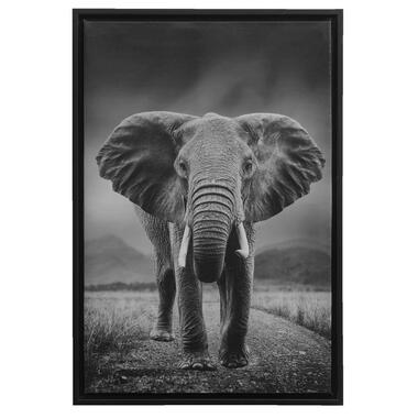 Tableau sur toile Eléphant - noir - 64x44x4 cm product
