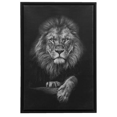 Tableau sur toile Lion - noir - 64x44x4 cm product