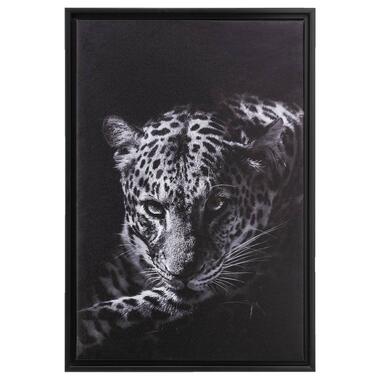 Schilderij Luipaard - zwart - 64x44x4 cm product
