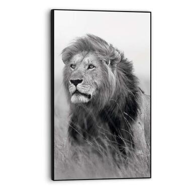 Tableau Lion - noir/blanc - 70x118 cm product