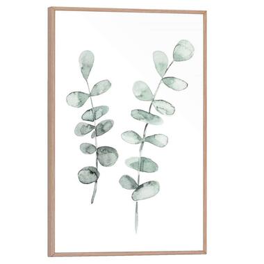 Poster Eucalyptus, cadre inclus - 30x20 cm product