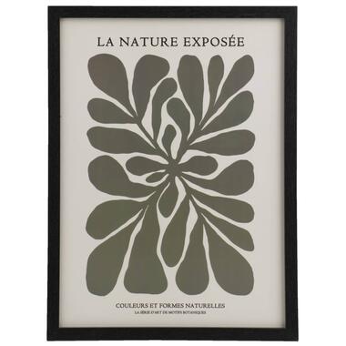 Poster La nature - MDF/glas - 30x40 cm product