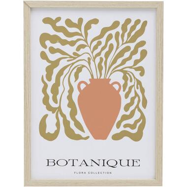 Poster Botanique - MDF/verre - 40x30 cm product