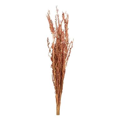Herbe Alfonso (séchée) - couleur naturelle - 100 cm product