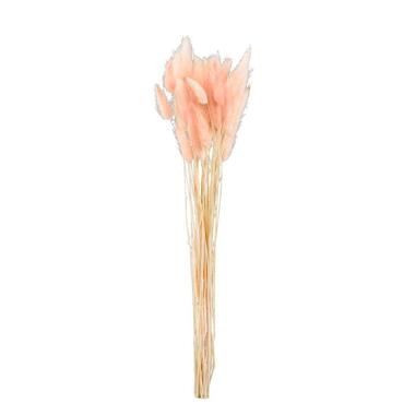 Droogbloemen Lagurus - roze - 45 cm product