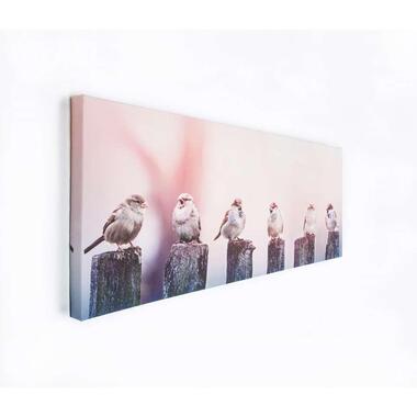 Art pour la maison - Peinture sur toile - Early Birds - 100x40 cm product