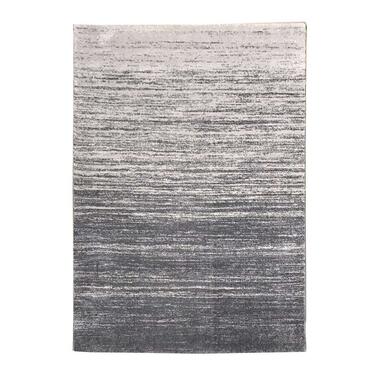 Tapis Sapri - gris clair - 200x290 cm product