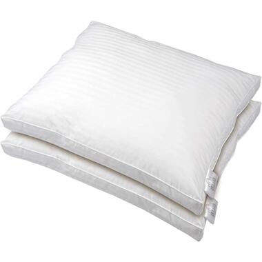 Polydaun lot de 2 oreillers Nova - blanc - 55x65x5 cm product