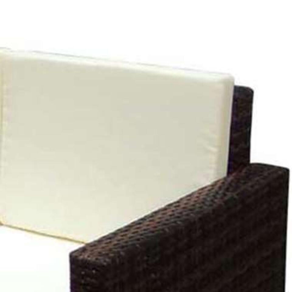 VIDAXL 2-delige Loungeset met kussens poly rattan bruin