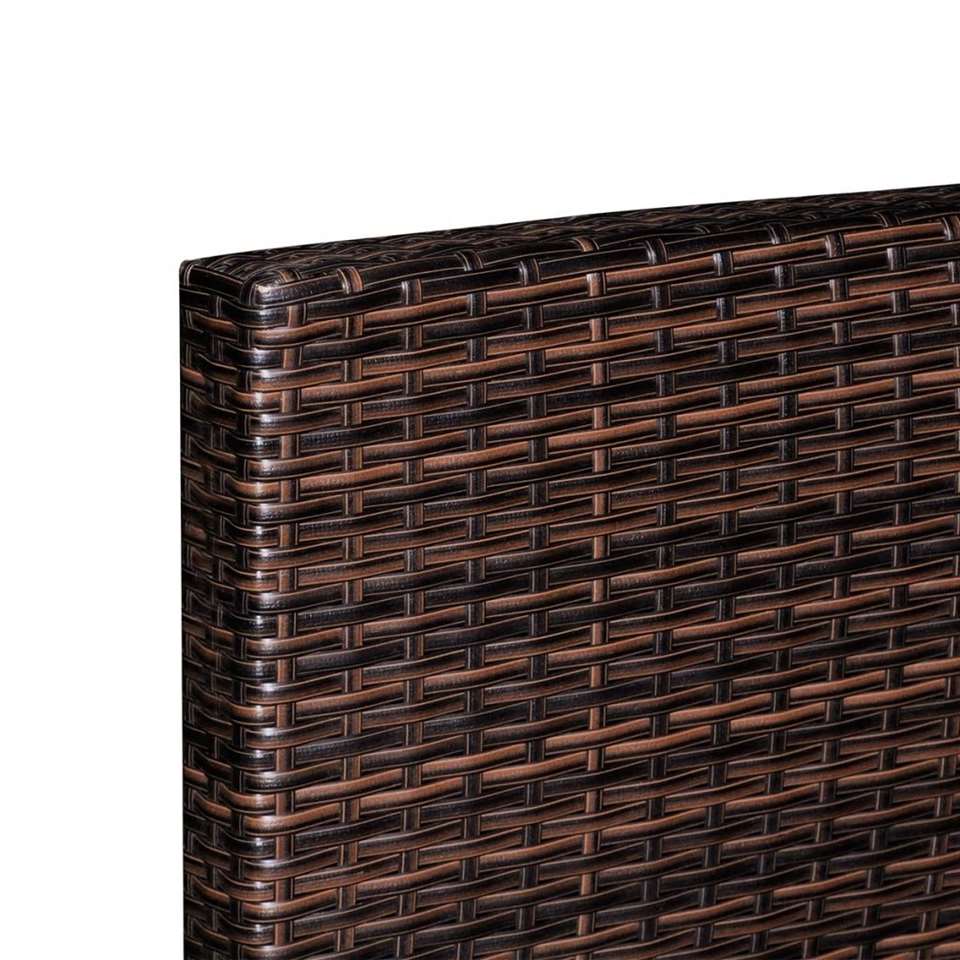 VIDAXL 10-delige Loungeset met kussens poly rattan bruin