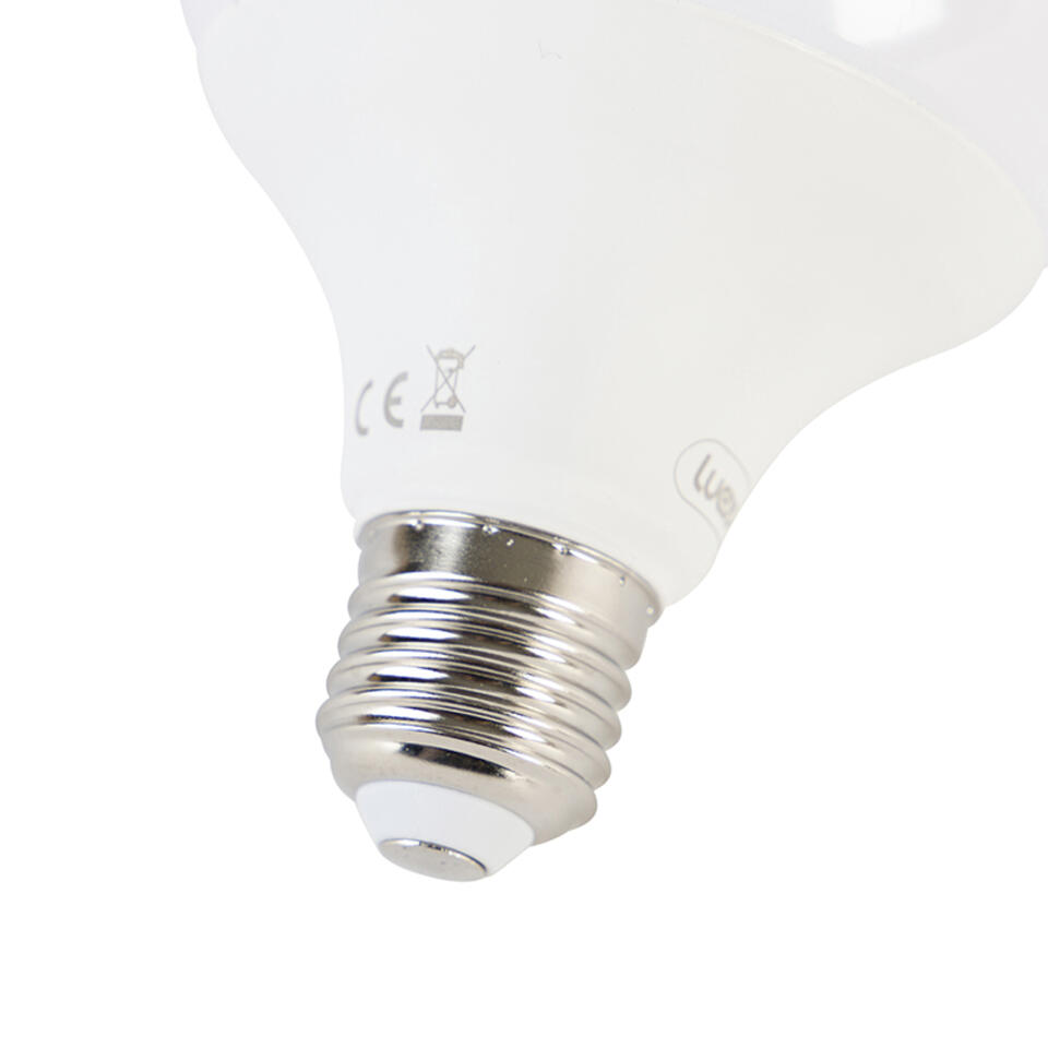 LUEDD Smart E27 dimbare LED lamp G95 11W 900 lm 2200-4000K RGB