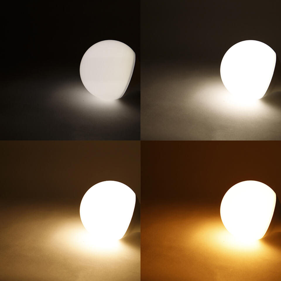 LUEDD Smart E27 dimbare LED lamp G95 11W 900 lm 2200-4000K RGB