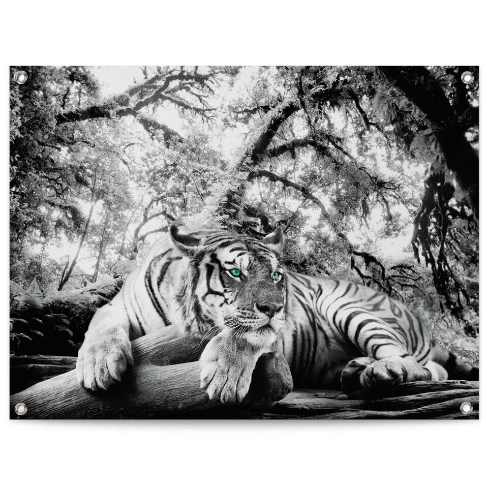 Poster de jardin Tigre 60x80 cm Noir Blanc