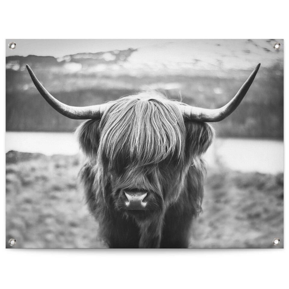 Poster de jardin Highlander cossais 60x80 cm Noir Blanc