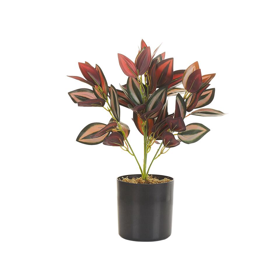 Plante artificielle avec pot 147 cm DRACAENA ANITA 