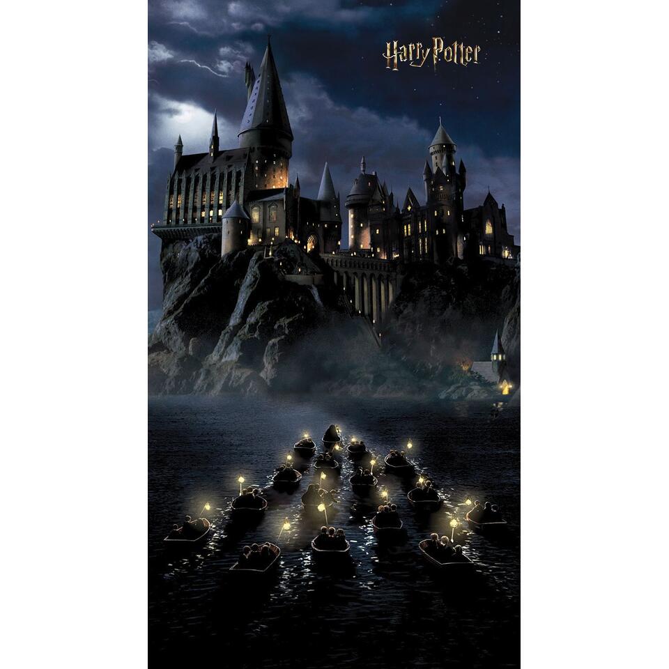 Sanders & Sanders papier peint panoramique - Harry Potter Poudlard