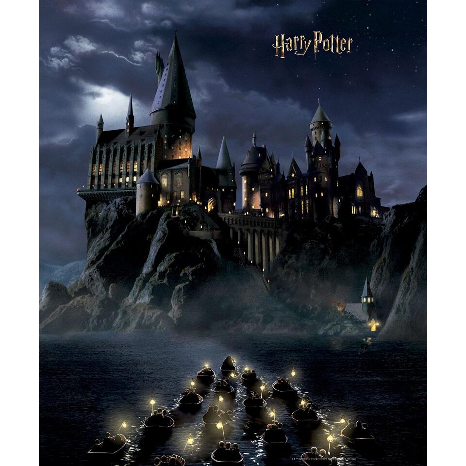 Sanders & Sanders papier peint panoramique - Harry Potter Poudlard