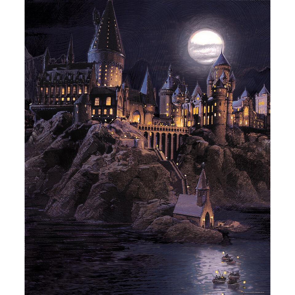 Sanders & Sanders papier peint panoramique - Harry Potter Poudlard