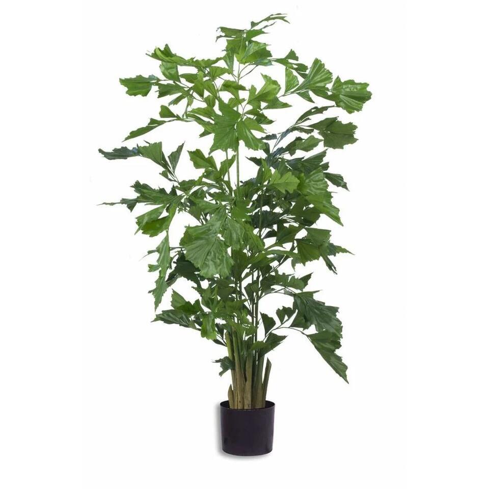 Hoyz Greenery - Kunstplant Fishtail Palm 160 cm | Leen Bakker
