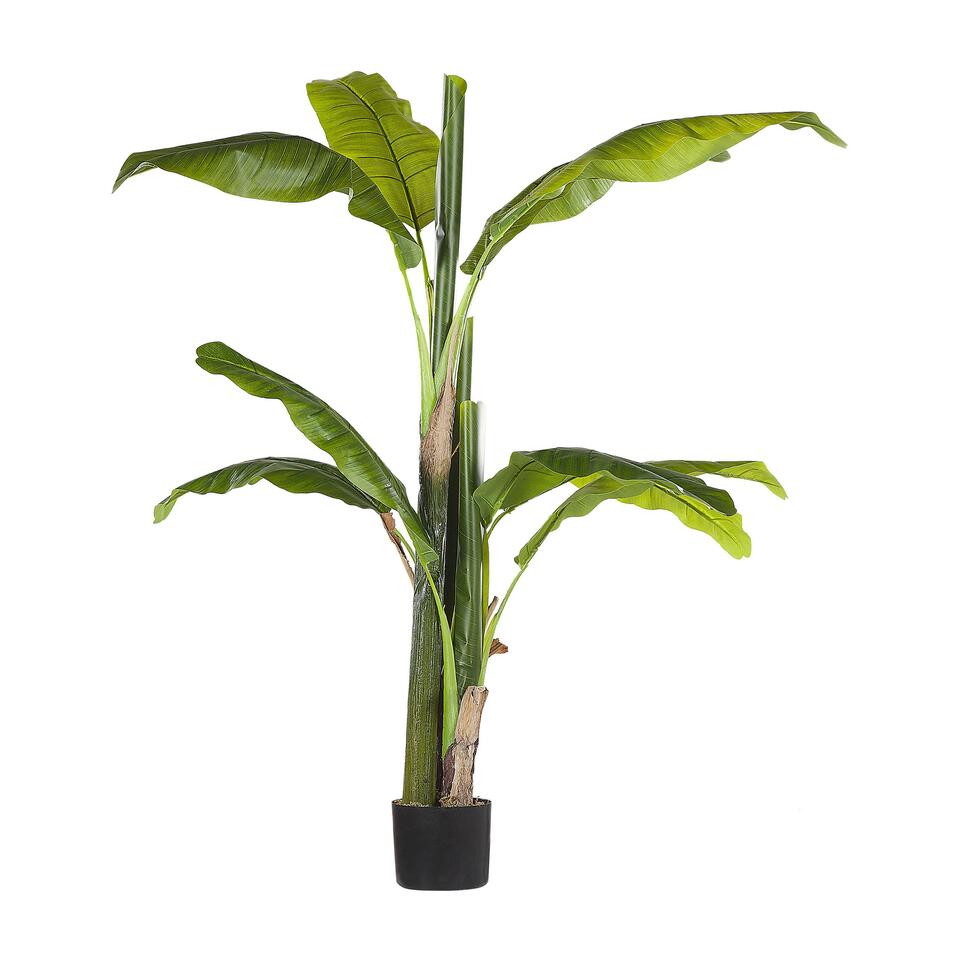 Plante artificielle avec pot 147 cm DRACAENA ANITA 