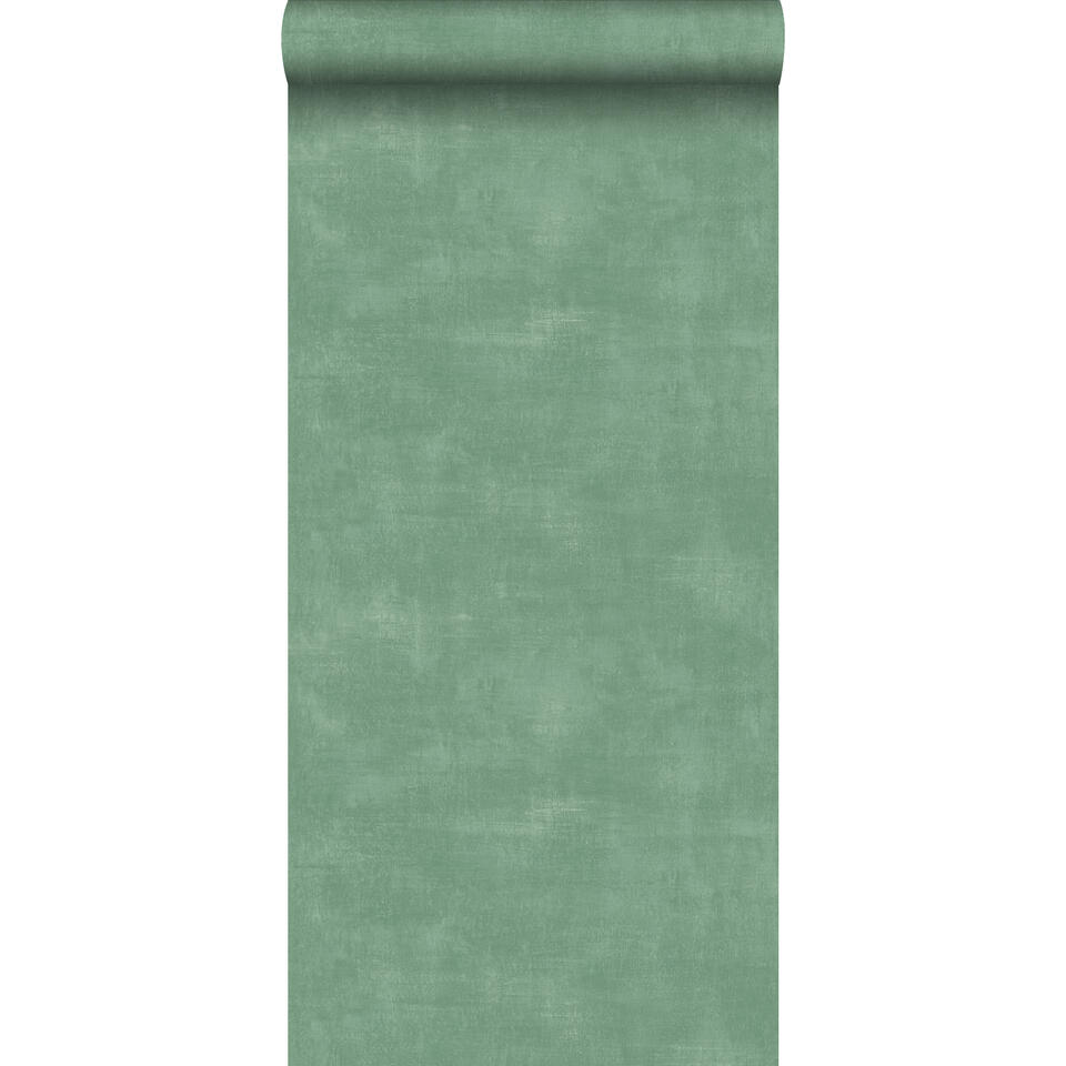 De databank aanbidden long ESTAhome behang - betonlook - groen - 0.53 x 10.05 m | Leen Bakker